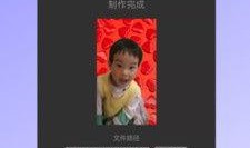 吃瓜背景视频下载软件免费,免费下载吃瓜背景视频，轻松打造潮流短视频！