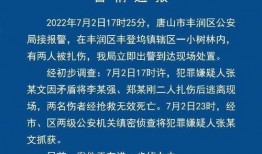 凶杀案爆料范文最新版本,最新爆料范文深度剖析