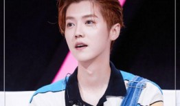 吃瓜娱乐圈鹿晗是谁