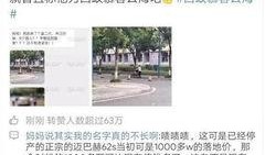 搜狐上怎么爆料新闻,如何精准爆料新闻，洞察社会热点