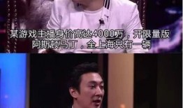娱乐网爆料王思聪是谁啊,娱乐网爆料，王思聪究竟是谁？
