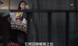 番薯姐姐爆料视频在线观看,揭秘幕后真相，带你走进事件核心