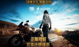 吃鸡兔年爆料视频大全集,揭秘年度热门游戏幕后故事