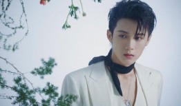 圈内爆料张婧仪吴磊视频,甜蜜瞬间引网友热议