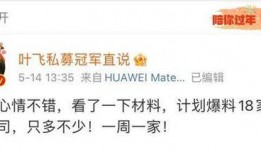 叶飞私募最新爆料,揭秘资本市场的暗流涌动