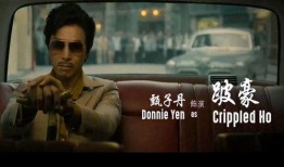 追龙甄子丹在线观看,甄子丹演绎传奇，在线观看重温江湖风云