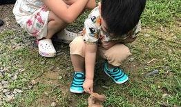 娱乐小爆料陈晓和陈妍希,娱乐圈甜蜜夫妻再掀热议