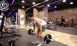 健身训练营爆料案例视频,汗水与蜕变背后的故事